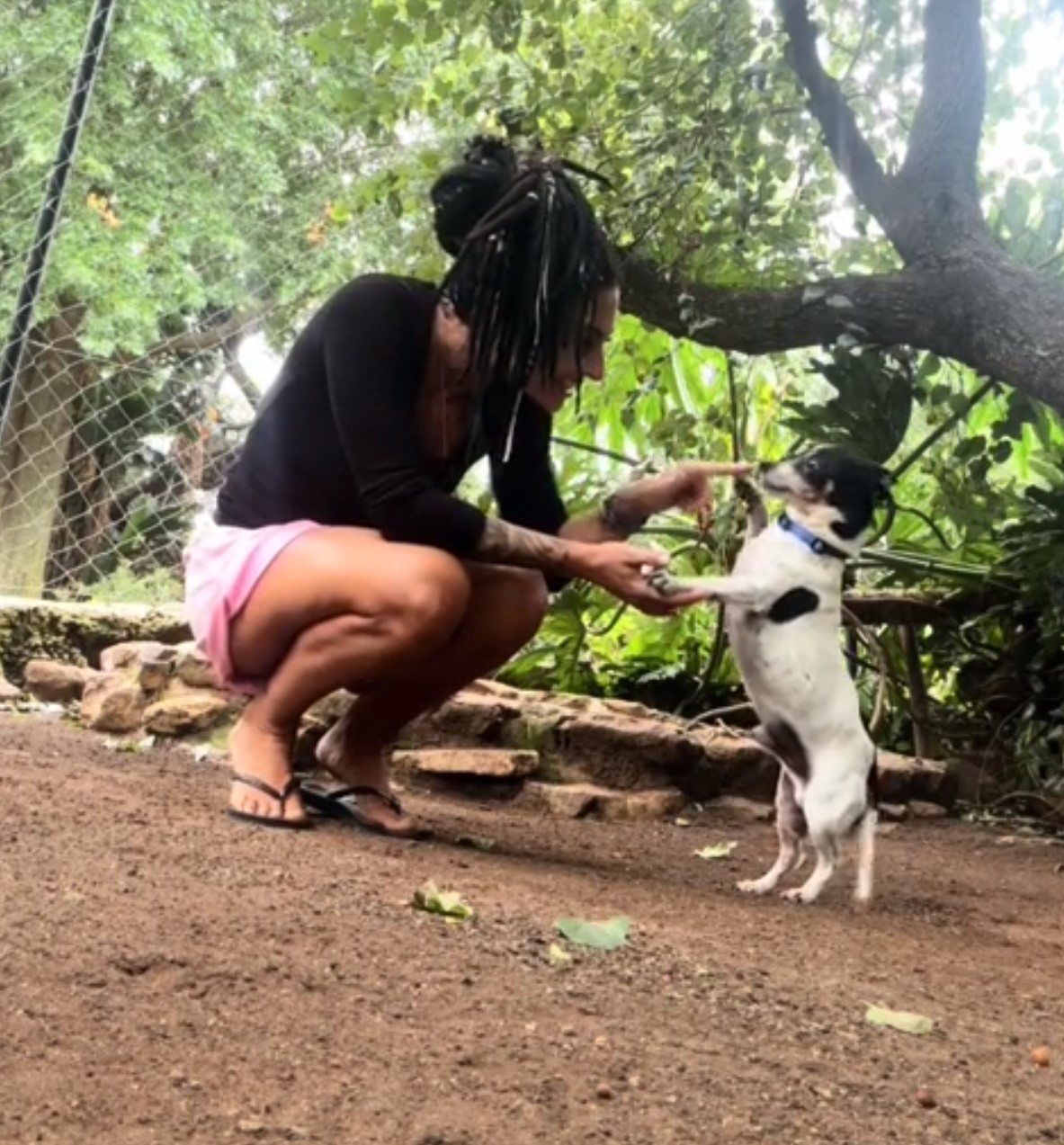 woman playing with dog