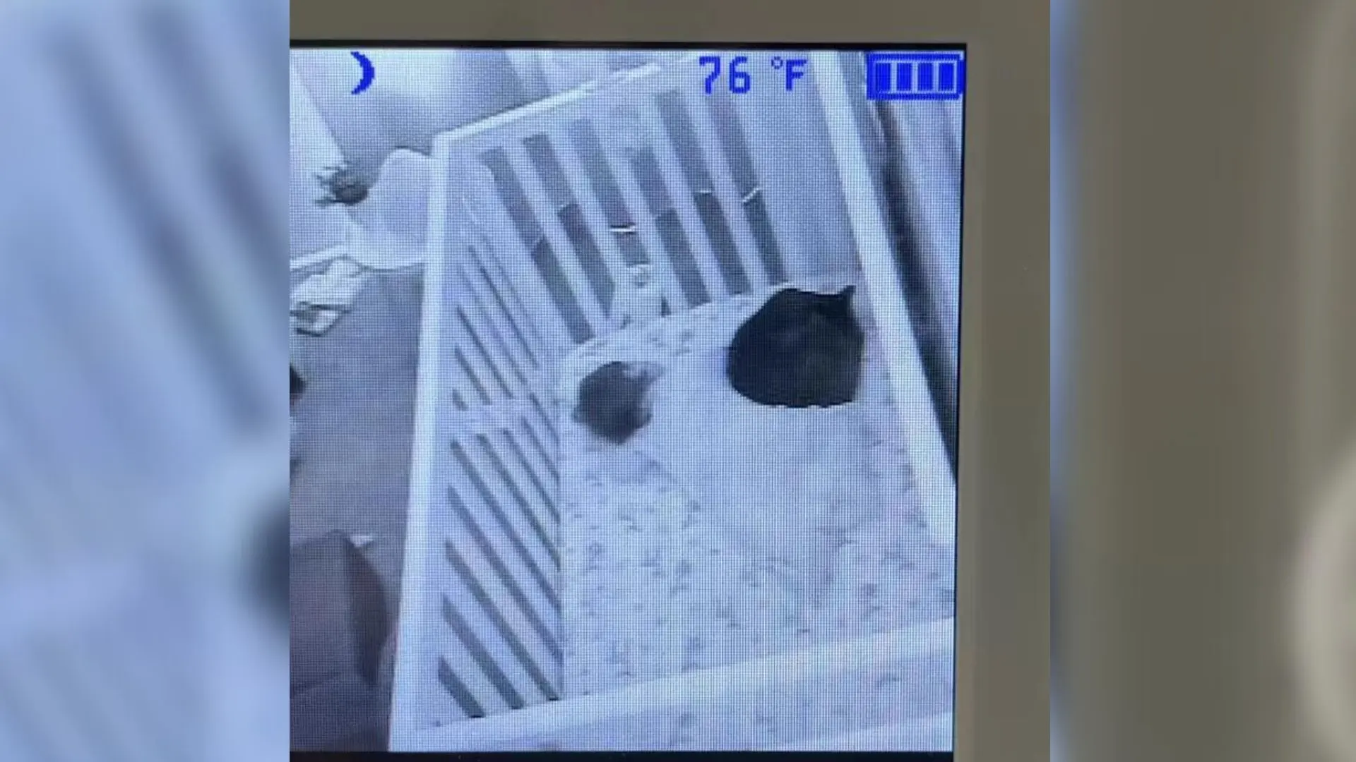 Mom Saw Something Strange Through The Baby Monitor So She Went To See What It Was