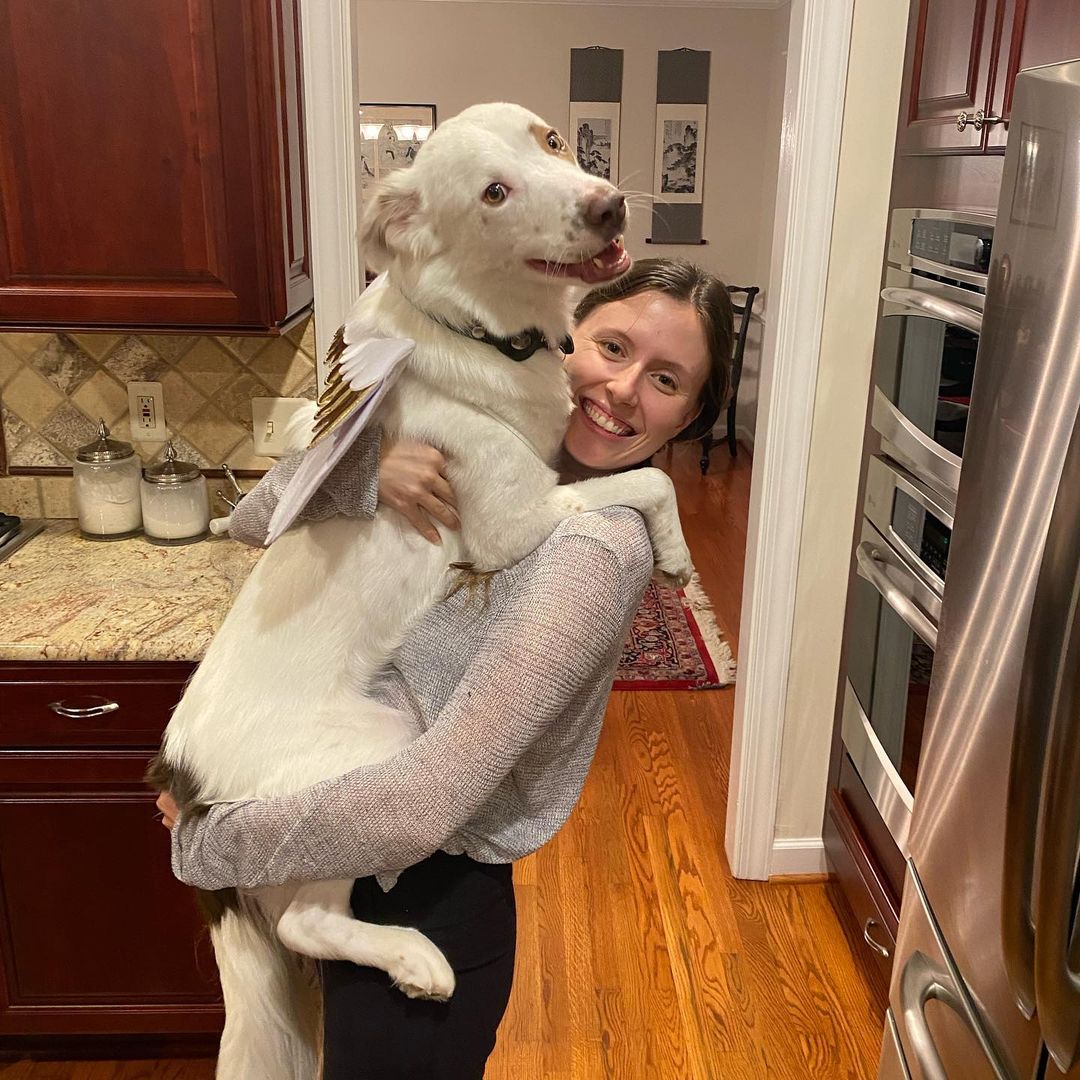 Woman holding a big white dog