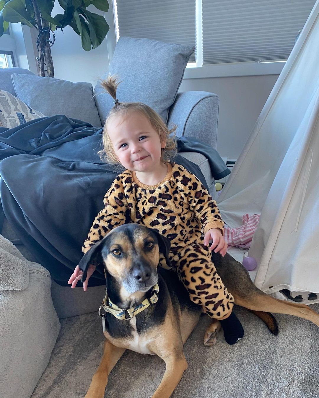 cute little girl sitting on dog