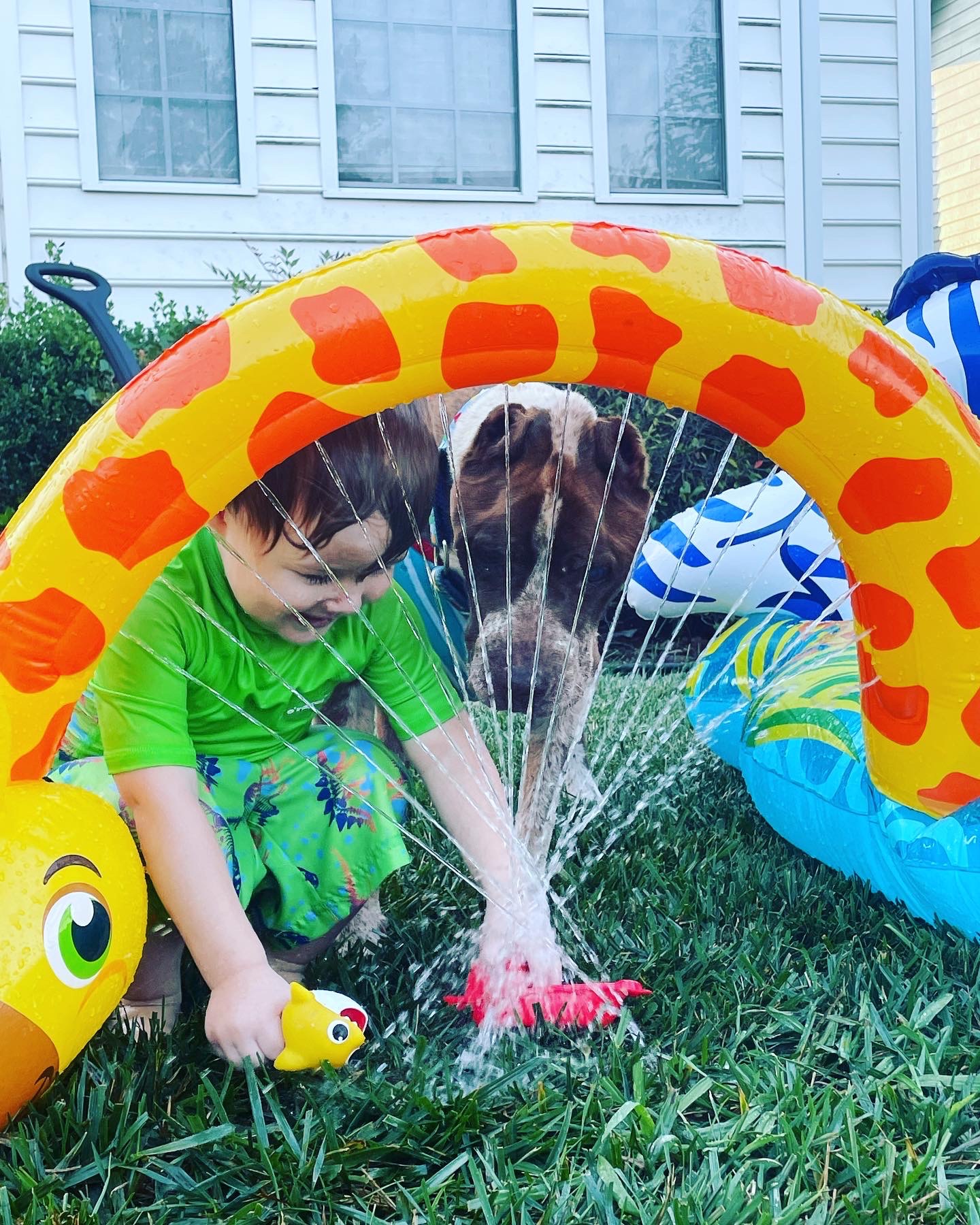 dog and little boy playing with water