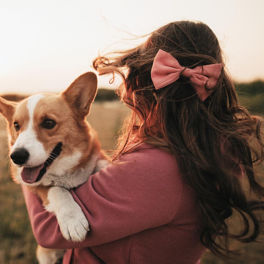 girl holding happy corgi