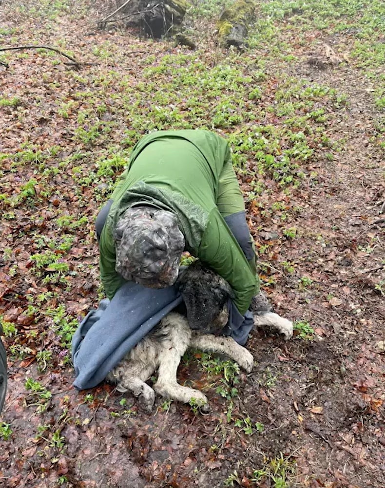 man lifting dog from the ground