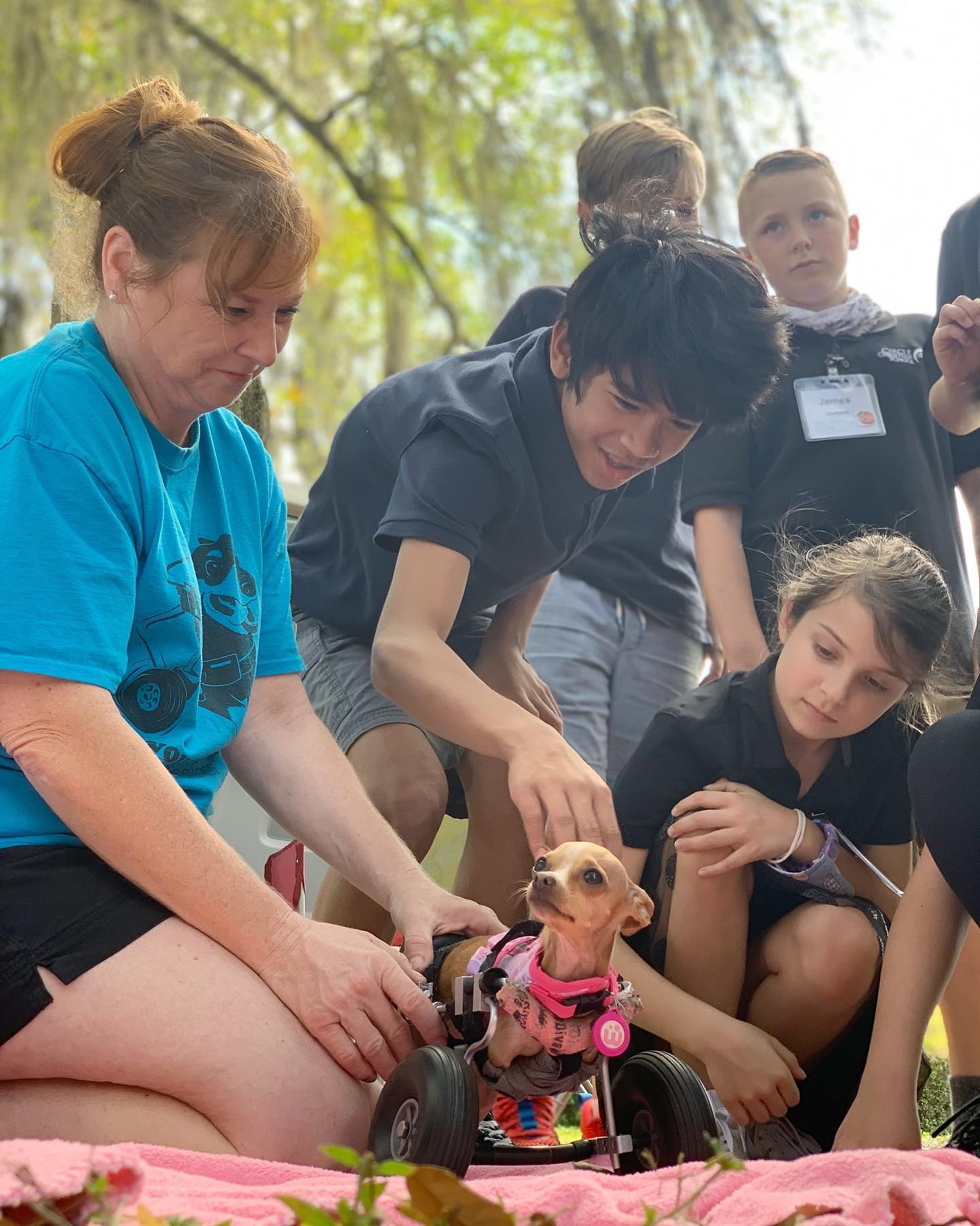 miracle dog surrounded by people