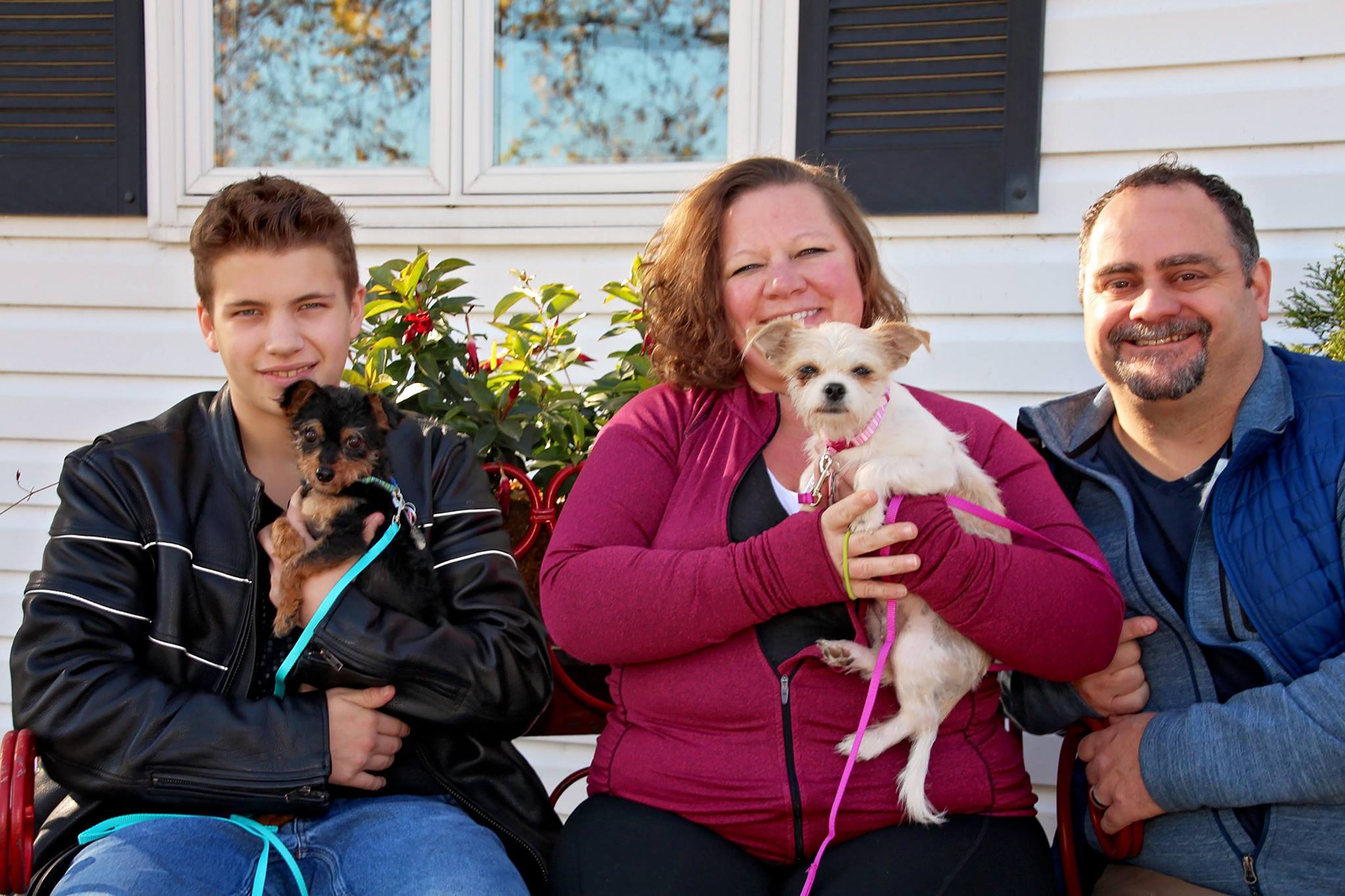 old couple and son with dogs