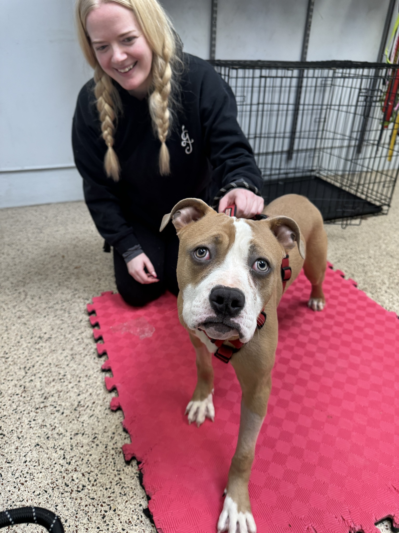 smiling woman holding dog