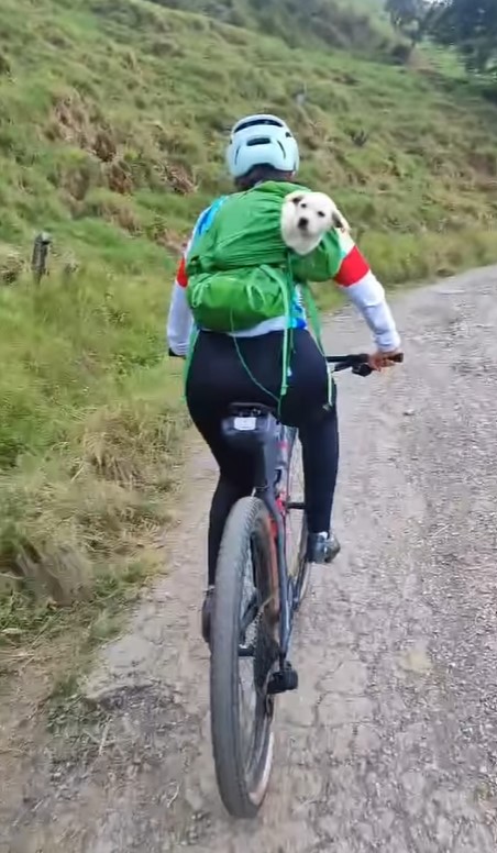 woman and dog in a backpack