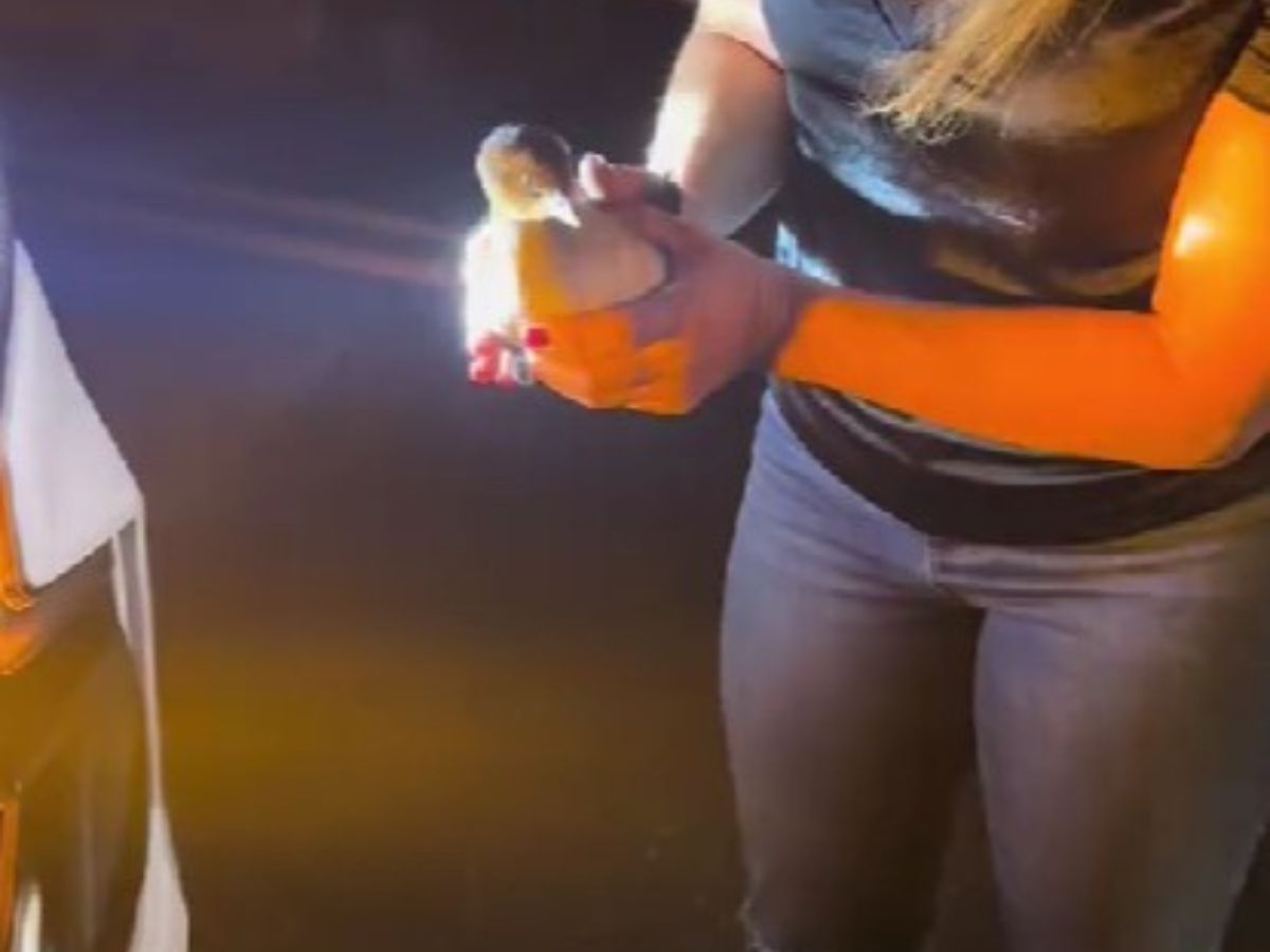 woman holding a grebe