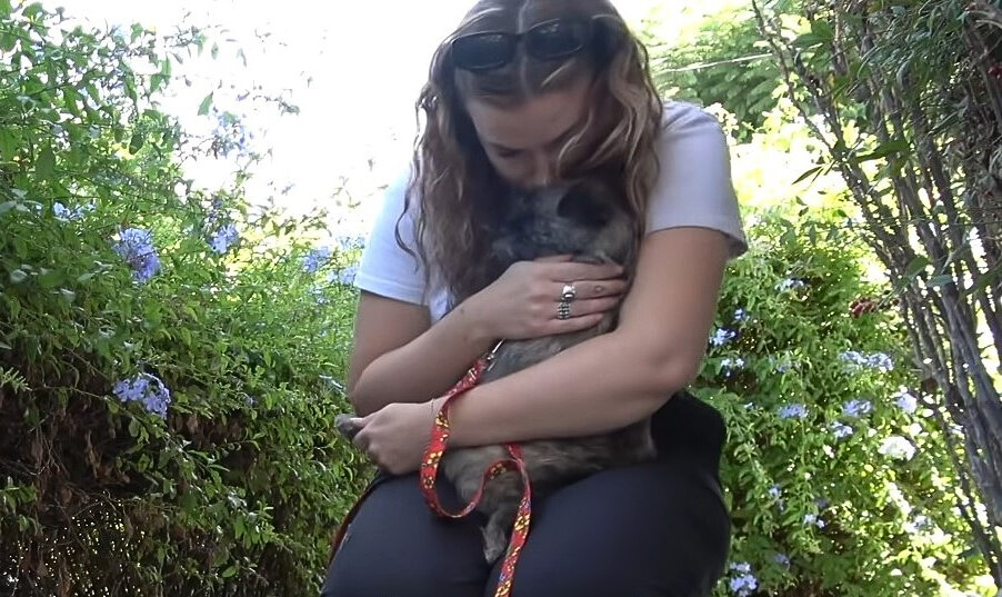 woman holding a pup