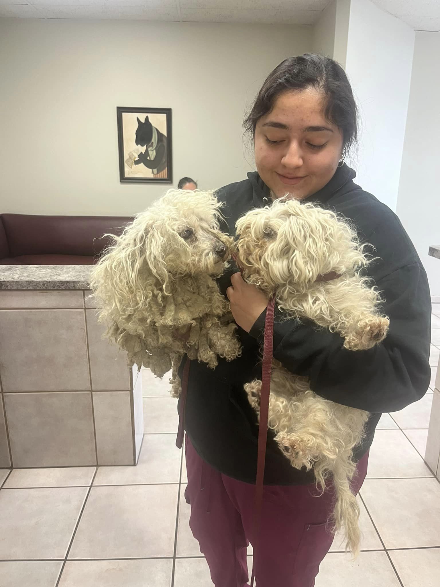 woman holding two dogs