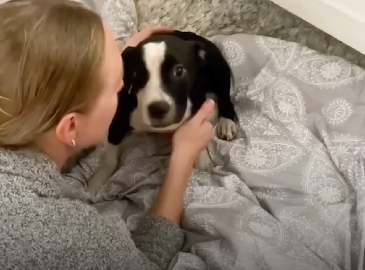 woman petting black dog