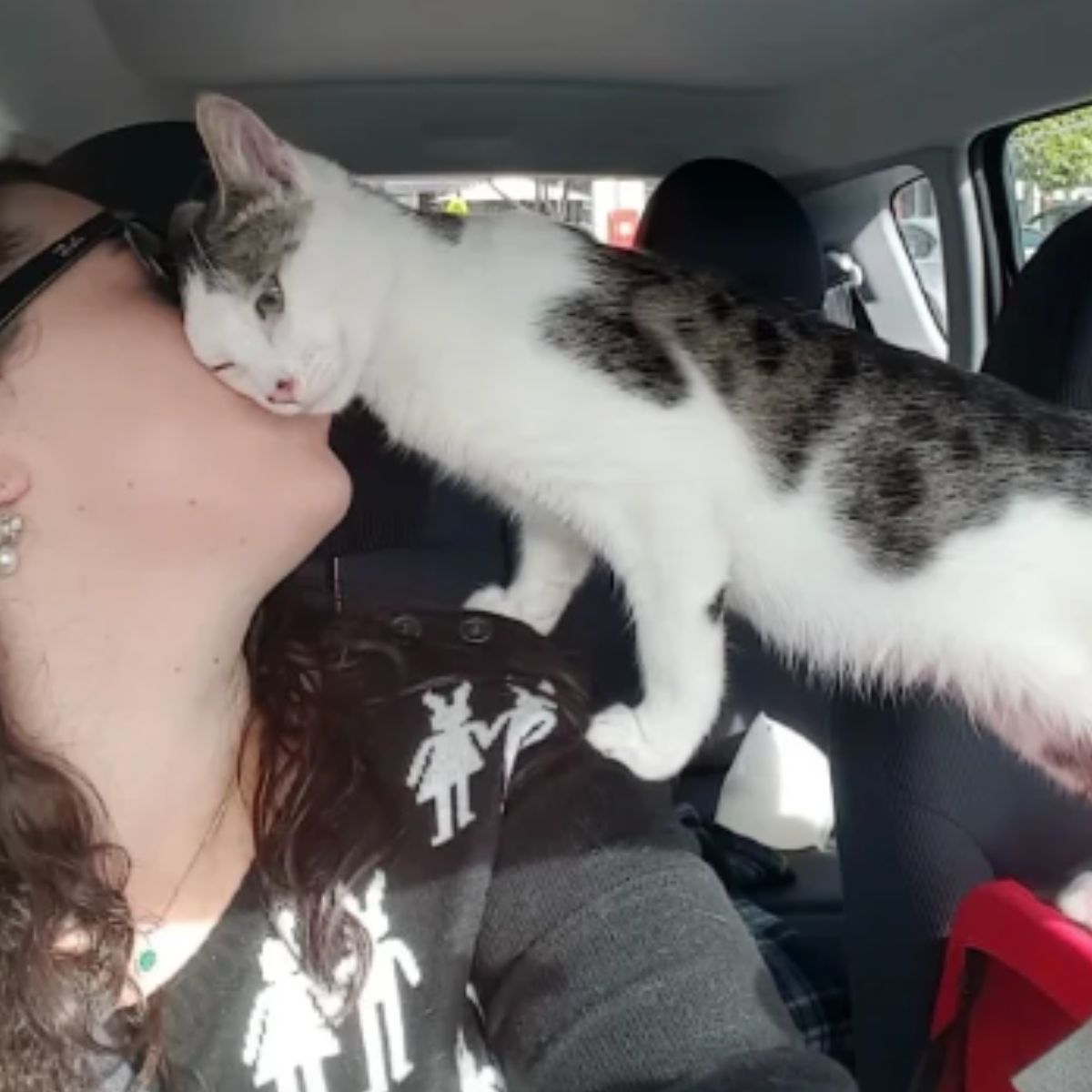 cat licking woman's face