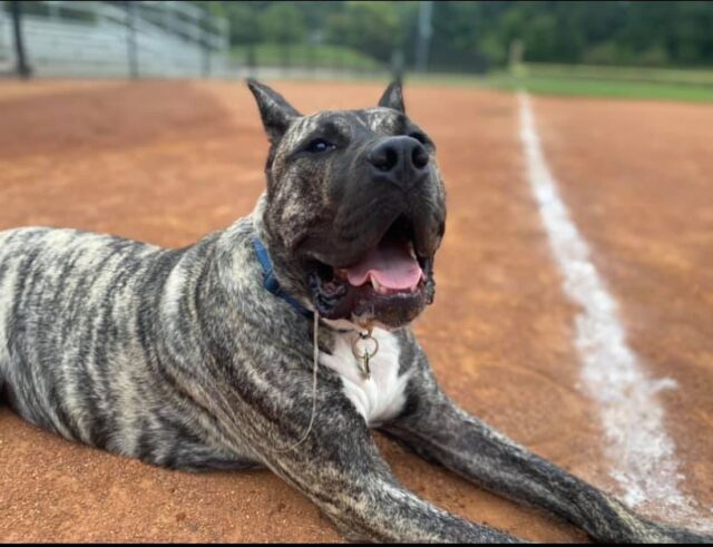 Ethan on baseball field