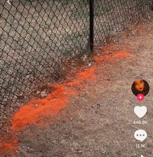 Powder on Fence