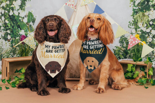 Wedding Bandanas