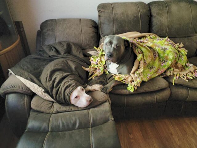 Boys on couch