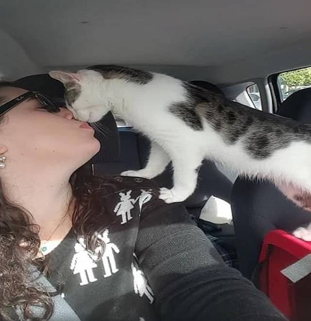 Kisses from the cat were Adelle's reward after she rescued him for 'death row'