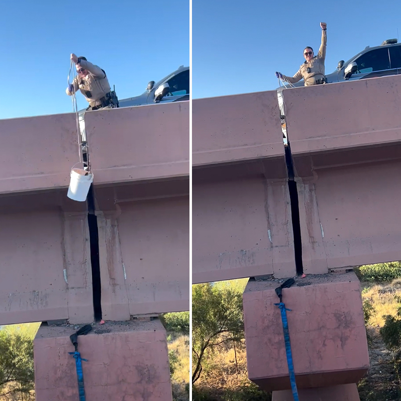 Arizona Department of Public Safety, Interstate, Santan Freeway (Loop 202) and Price Freeway (Loop 101) in Tempe, Arizona, Kitten, trooper catches kitten in an empty bucket somehow, 4