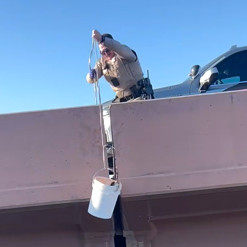 Arizona Department of Public Safety, Interstate, Santan Freeway (Loop 202) and Price Freeway (Loop 101) in Tempe, Arizona, Kitten, trooper catches kitten in an empty bucket somehow, 2