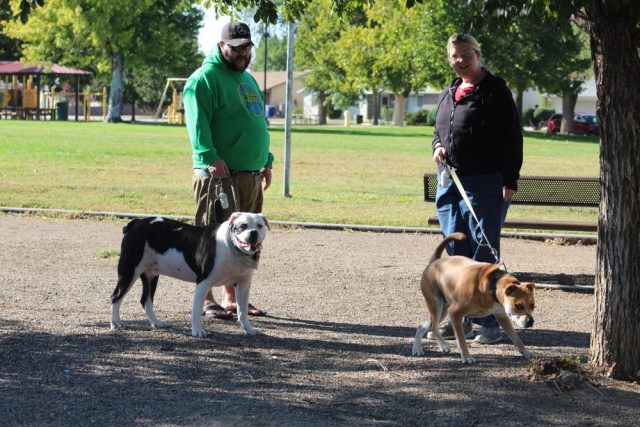 Dog Friendly Albuquerque