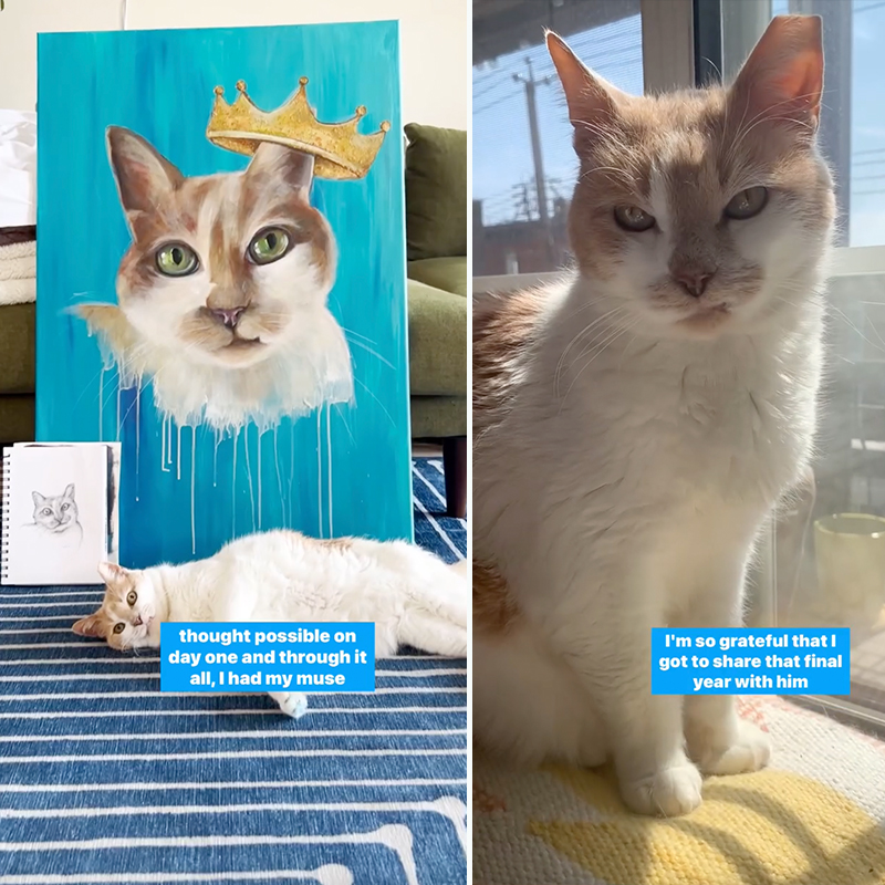 Becca Snyder, Brooklyn, New York, Muse, Feline Muse, Flurff, Fig Newton the cat, rescued cats from streets bring inspiration to their mom, artwork, painting, Random Cats of Kindness, 5