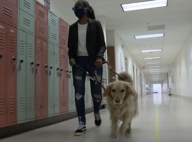 Blind teen and service dog