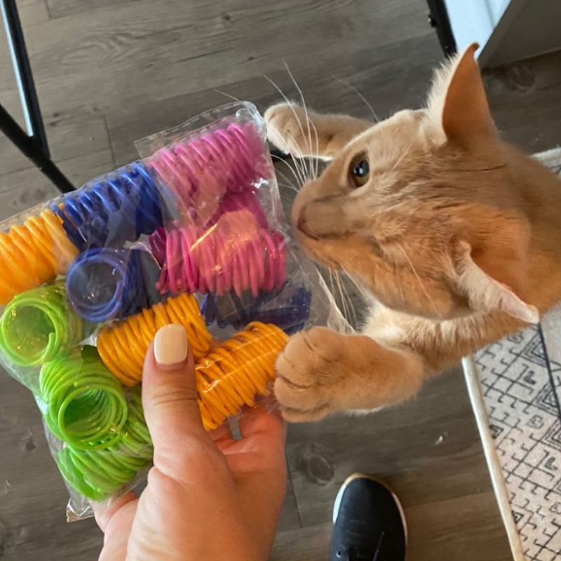 Bob the Builder plays with toys he got for his birthday