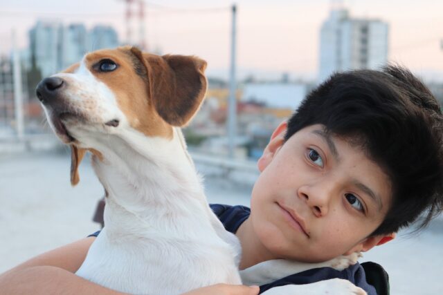 Boy holding dog passive