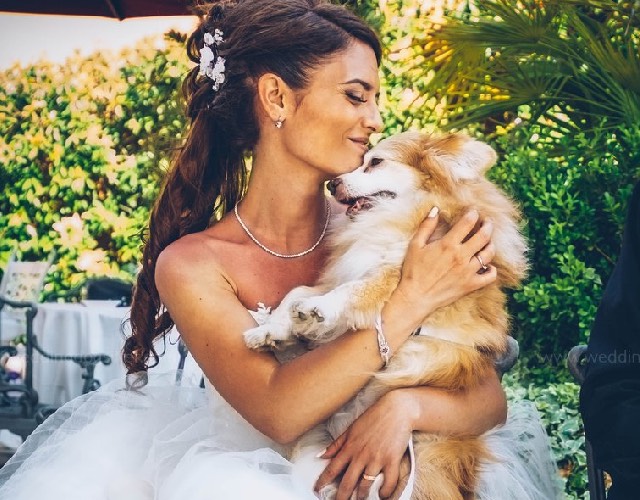 Bride and Dog