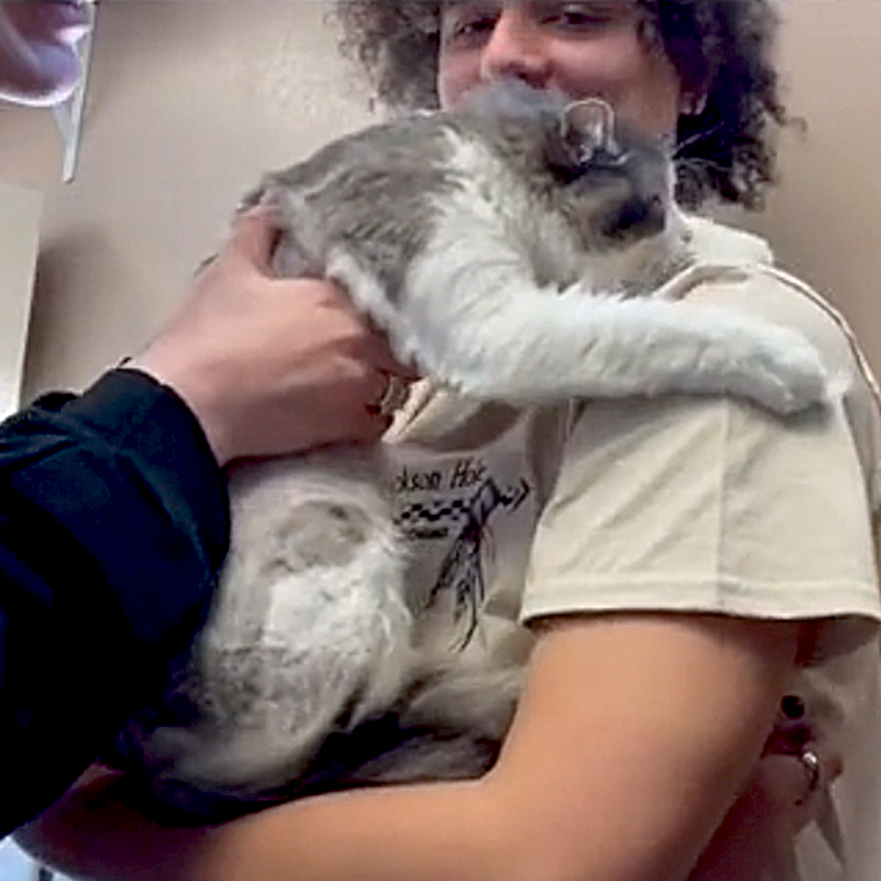 TikTok/bug_b1te, Snake River Animal Shelter, Idaho Falls, ID, West Jordan, Utah, Buba the cat knows his dad at the shelter, Cat knew his future family, Cat refused to let go of future dad