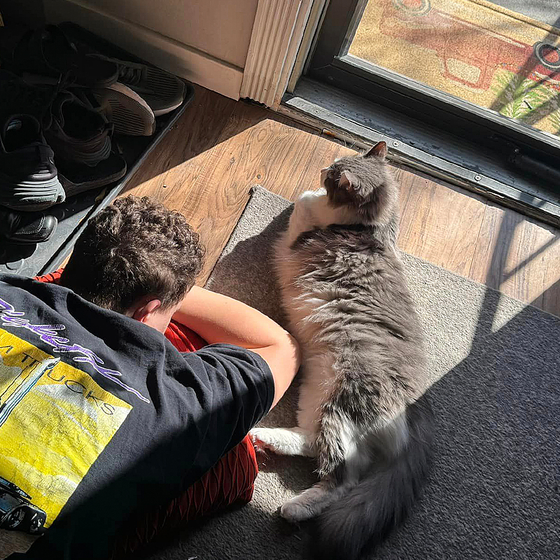  TikTok/bug_b1te, Snake River Animal Shelter, Idaho Falls, ID, West Jordan, Utah, cat knows his dad at the shelter, Cat knew his future family, Cat refused to let go of future dad, sitting in the doorway