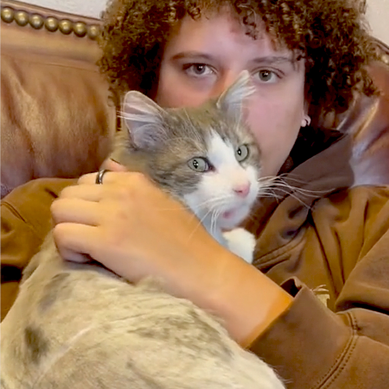 TikTok/bug_b1te, Snake River Animal Shelter, Idaho Falls, ID, West Jordan, Utah, Buba the cat knows his dad at the shelter, Cat knew his future family, Cat refused to let go of future dad, Buba at home with Gus