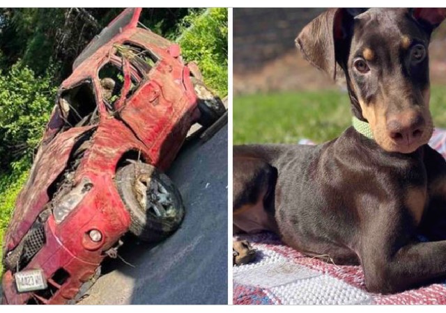 Car and Bentley