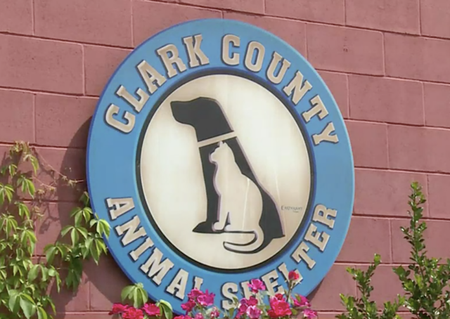 Clark County Animal Shelter