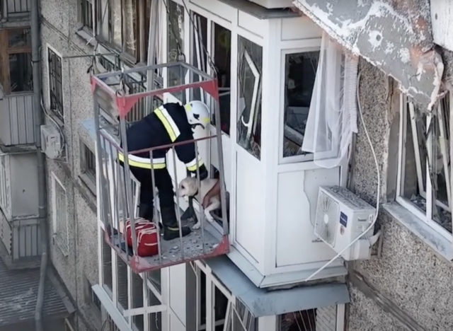 Coaxing dog out of damaged apartment