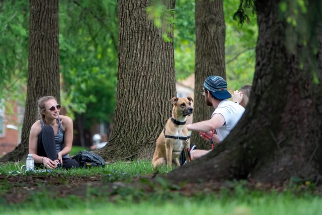 Dog Friendly Columbus