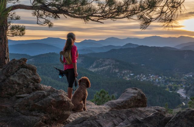 Dog Friendly Denver