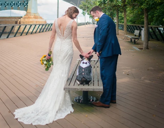 Dog with tux