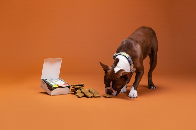 Dog with Monch treat box