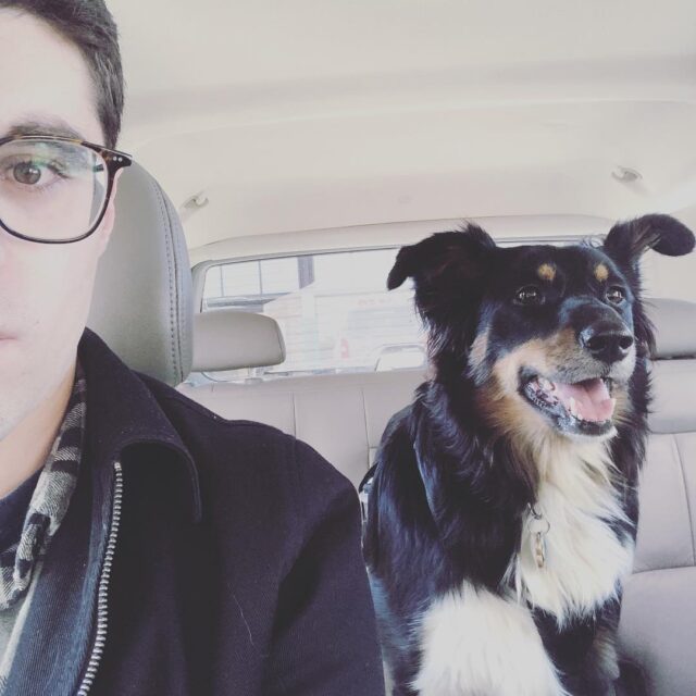 Dog and human in car