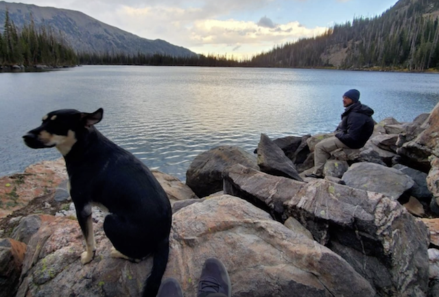 Dog hiking in mountains