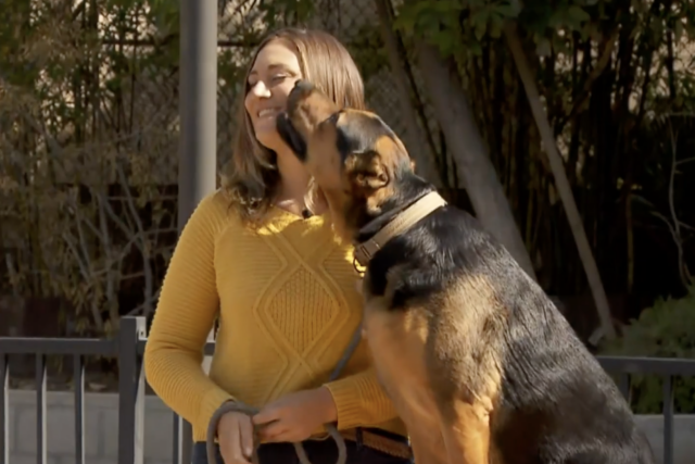 Dog kisses his mom