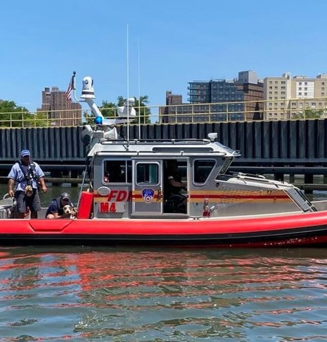 Dog riding on emergency boat