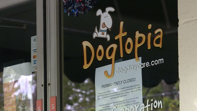 Dogtopia permanently closed