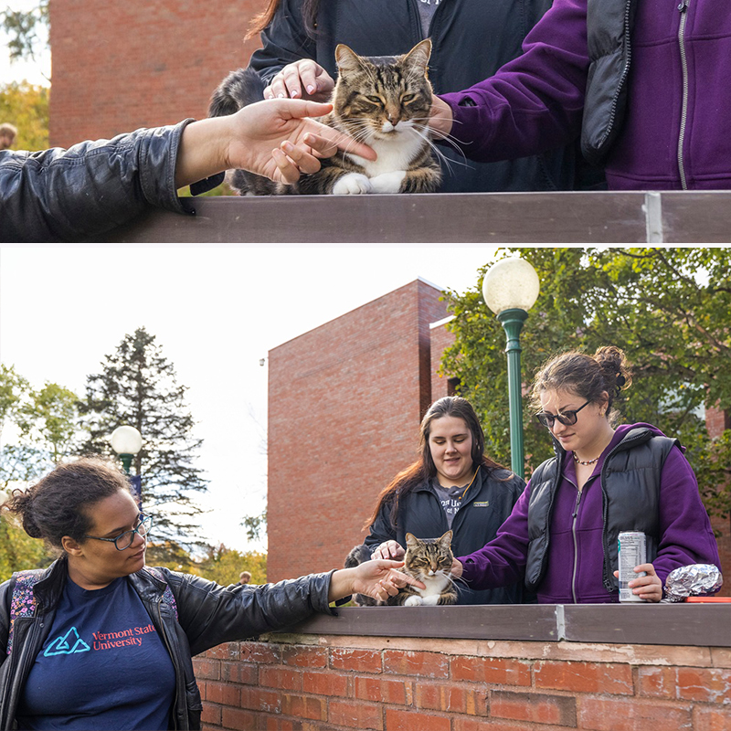 Vermont State University's Castleton campus, Dr. Max Dow, campus cat, Doctorate in Litter-ature, Ashley Dow, Kaitlyn Tanner, Fair Haven, Vermont, feral cat earns honorary doctorate, tabby, 8