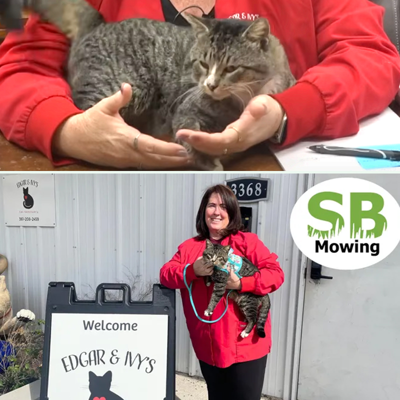 Spencer, Corpus Christi, Texas, Anissa Beal, Edgard and Ivy's Cat Sanctuary, SB Mowing, Kansas, Wichita, lawn mower, man mowing lawns for free, cat saved by man mowing lawns from Kansas, Beal at the new wellness center 