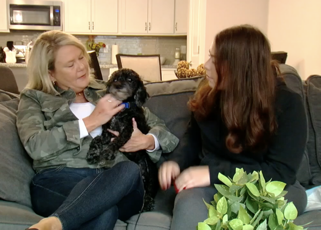 Family holding paralyzed dog