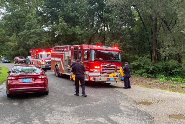 Firefighters at water rescue with dog