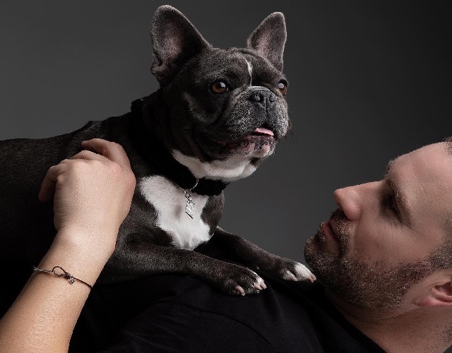 Frenchie wearing jewelry