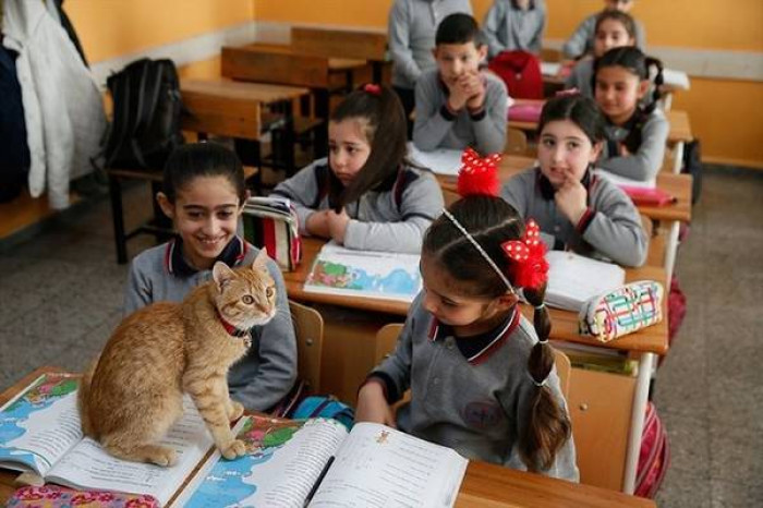 And, of course, Tombi loved the children just as much. He enjoyed exploring the classroom and making it his home.